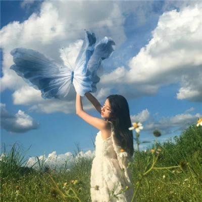 菜鸟总动员